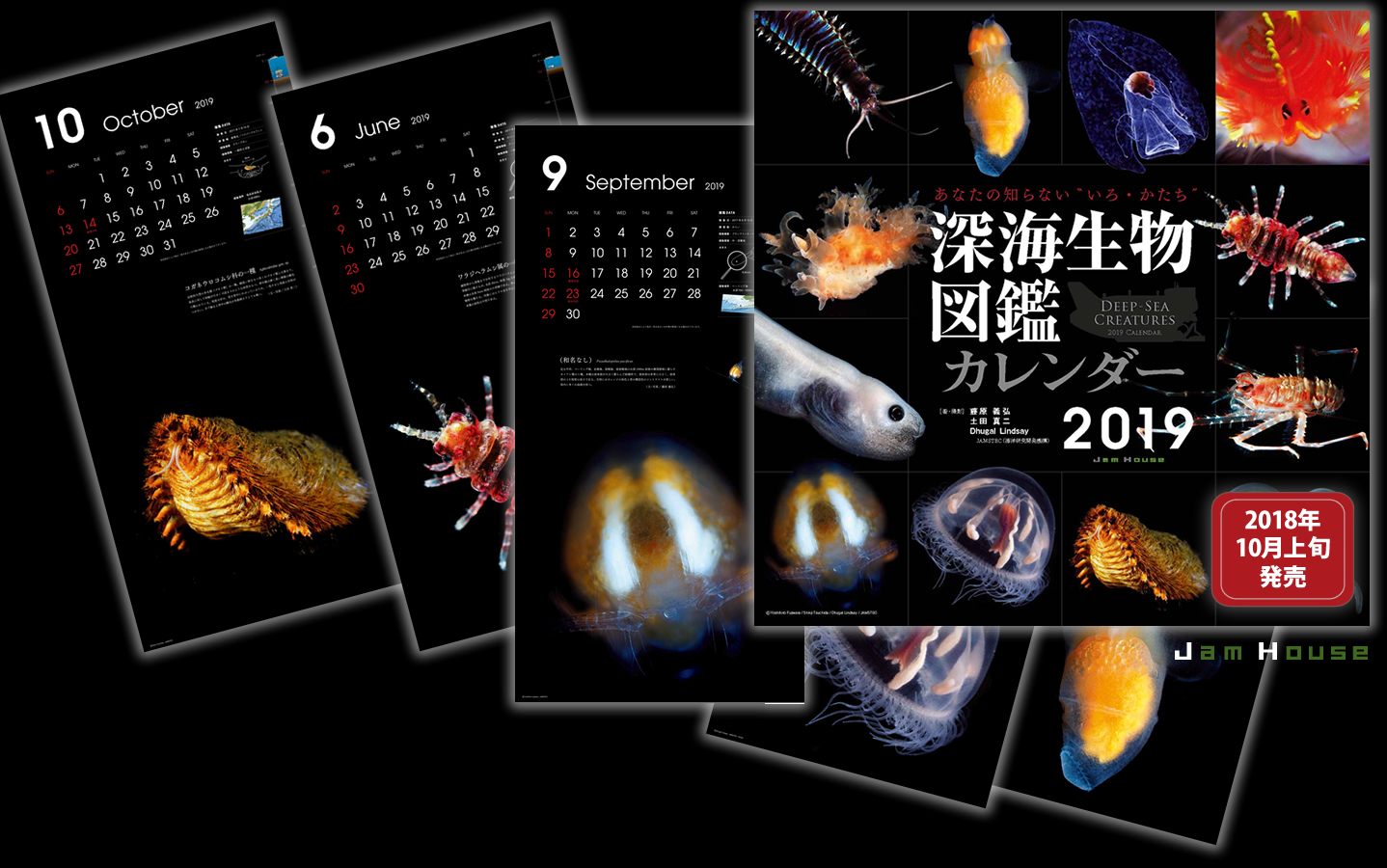 カレンダー 深海生物図鑑 19年版 ジャムハウス